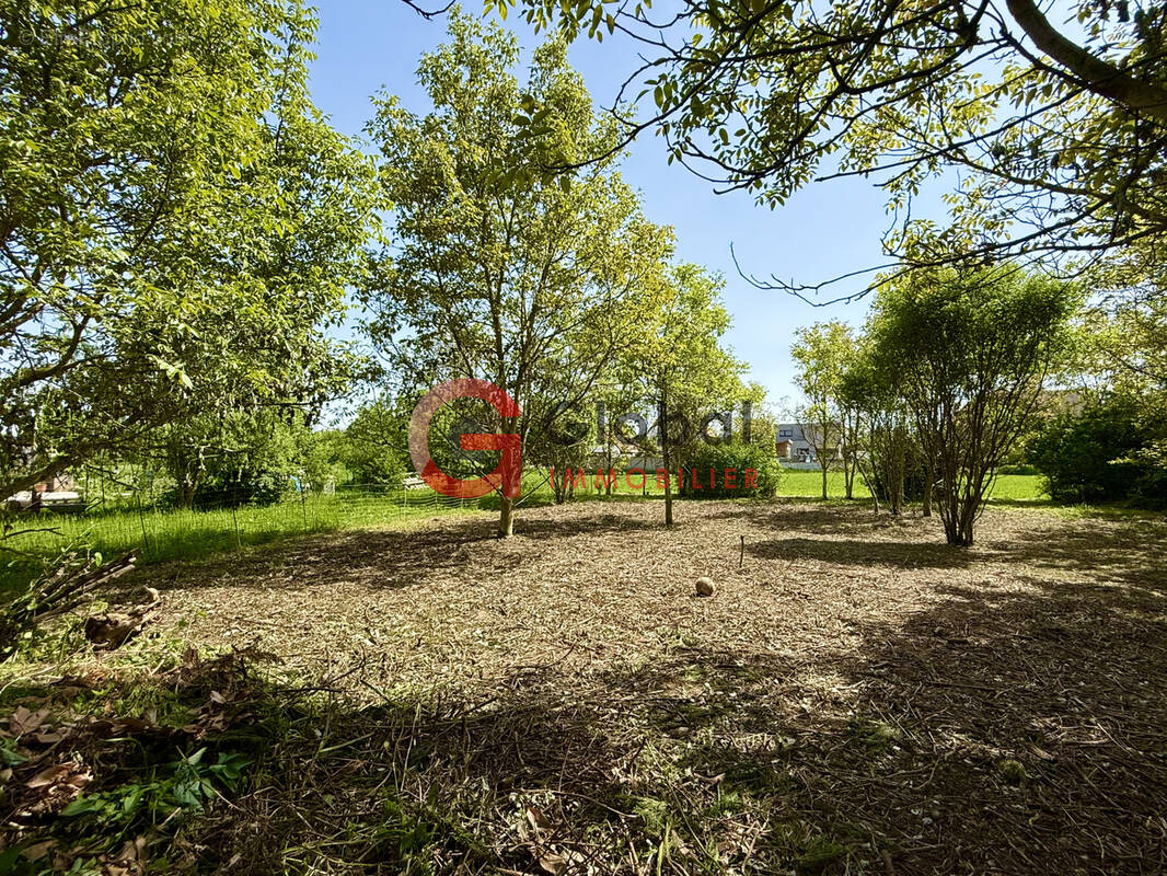 Terrain à SELESTAT