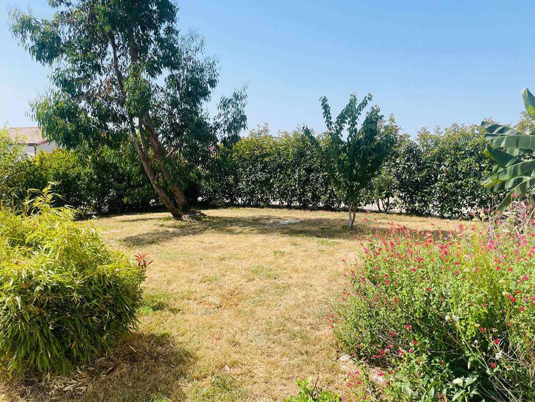 Grand'Landes - 2 chambres - Plain-pied - photo 10