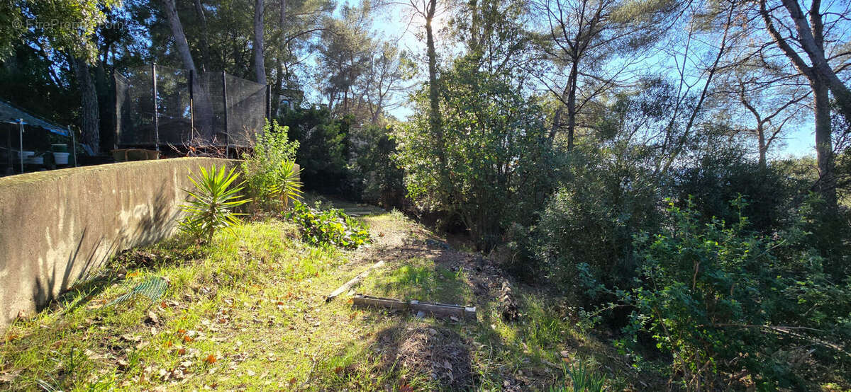 Terrain à SAINT-PAUL