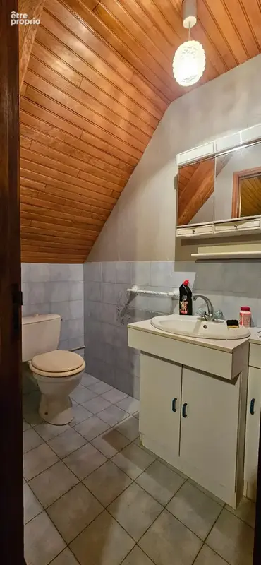 Maison 6 chambres avec 4600m2 de jardin, grand sous-sol, possibilité de vie en plain-pied (Calvinet-Puycapel, 15) - photo 25