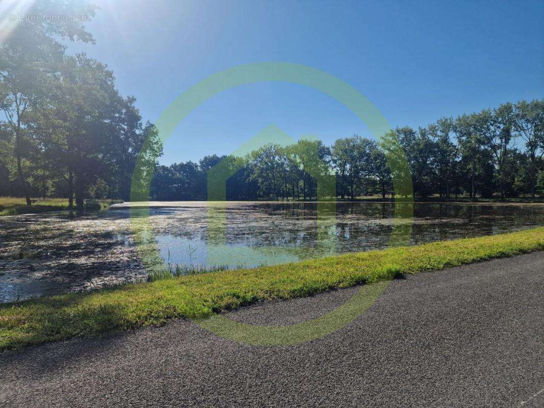 Maison à SOUVIGNY-EN-SOLOGNE