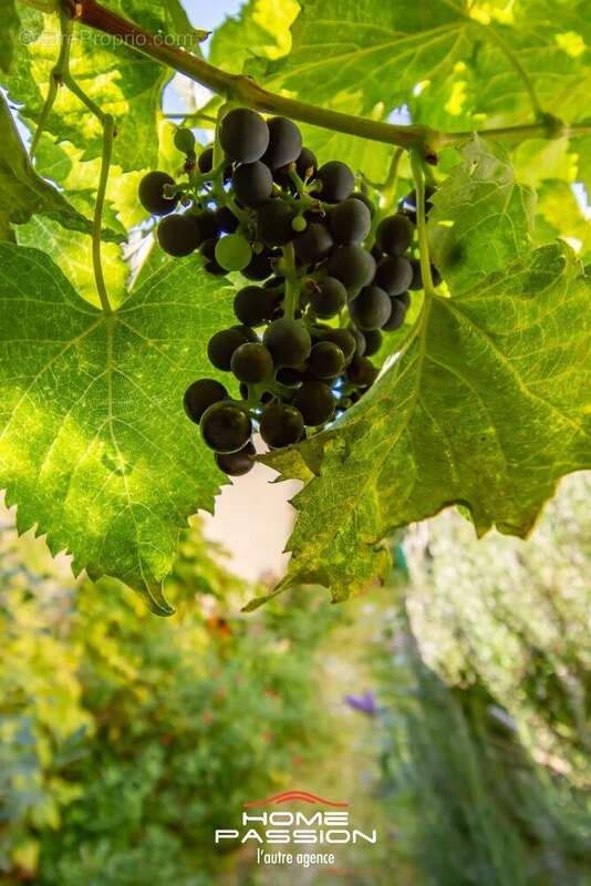 Maison à SAINT-PALAIS-SUR-MER