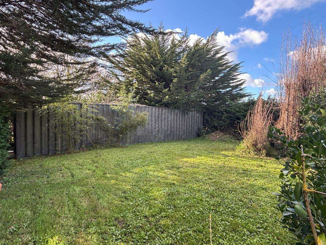 Terrain à DOLUS-D&#039;OLERON