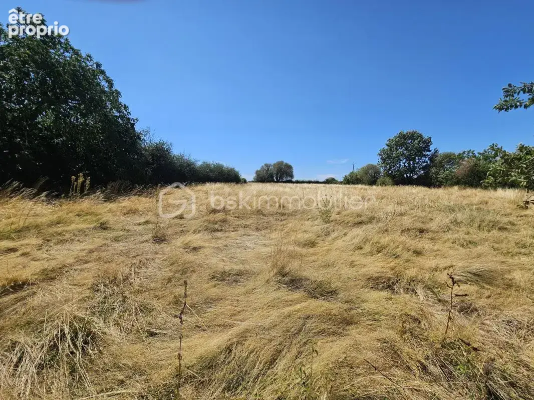 Longère de Charme sur 7351 m² de Terrain - photo 14