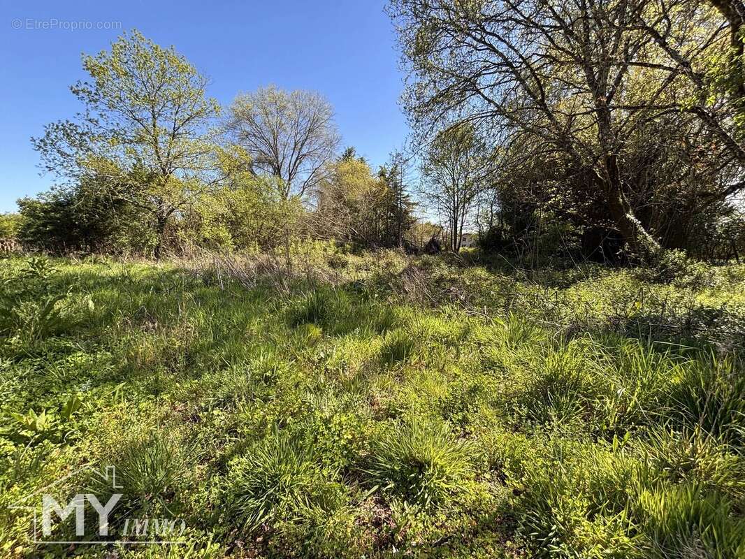 Terrain à MONTCARET