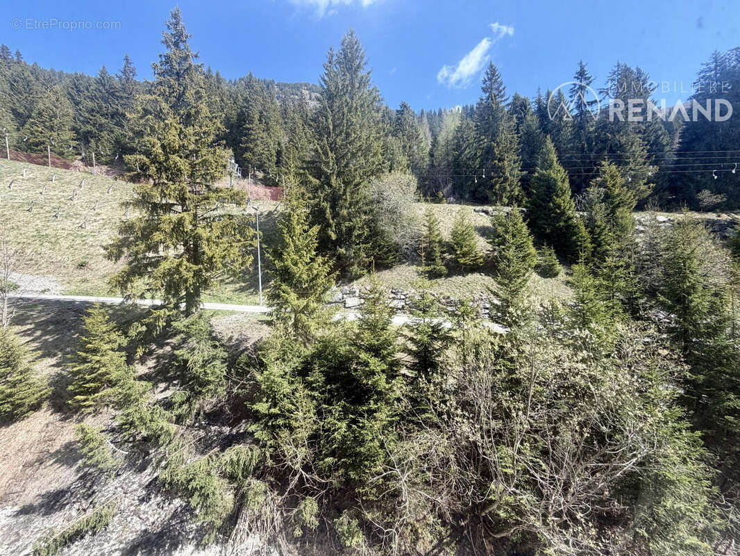 Vue forêt - Appartement à CLUSES