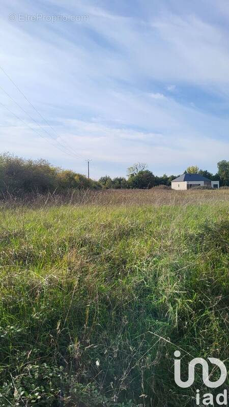 Photo 1 - Terrain à LA COUR-MARIGNY