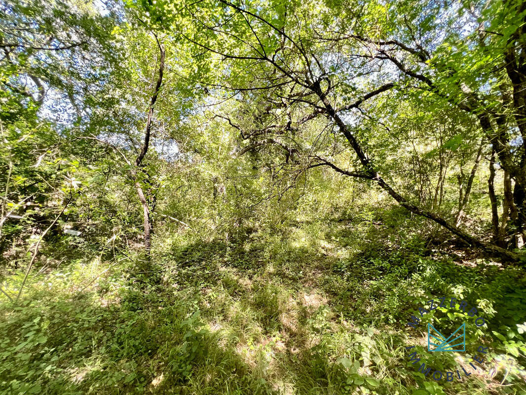 Terrain à LA DESTROUSSE
