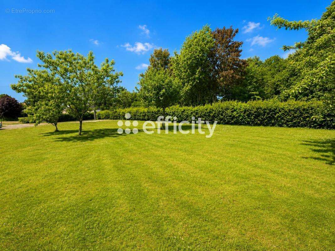 Maison 130 m² à Pire-Sur-Seiche  - photo 14