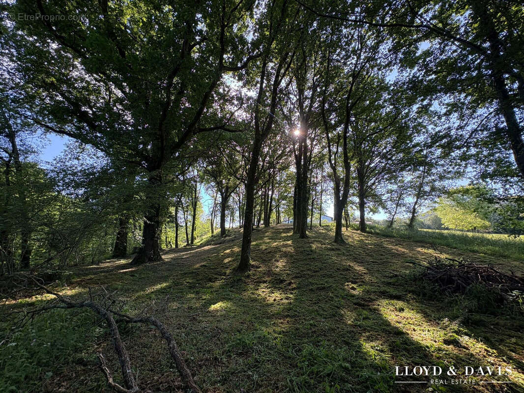 Maison à SAINT-PEE-SUR-NIVELLE