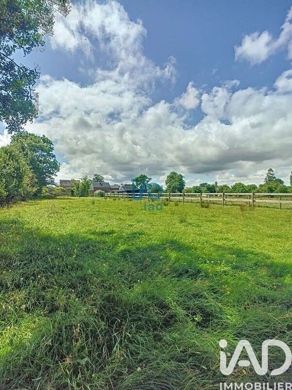 Photo 4 - Terrain à CERISY-LA-FORET