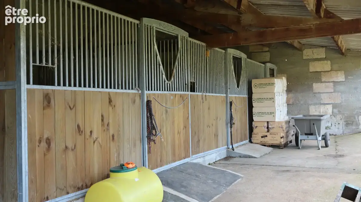Maison 217 m² à Chateauneuf-Sur-Charente  - photo 12