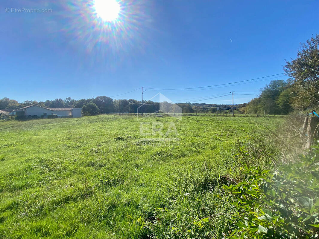 Terrain à SAINTE-MARIE-DE-GOSSE