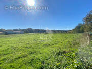 Terrain à SAINTE-MARIE-DE-GOSSE