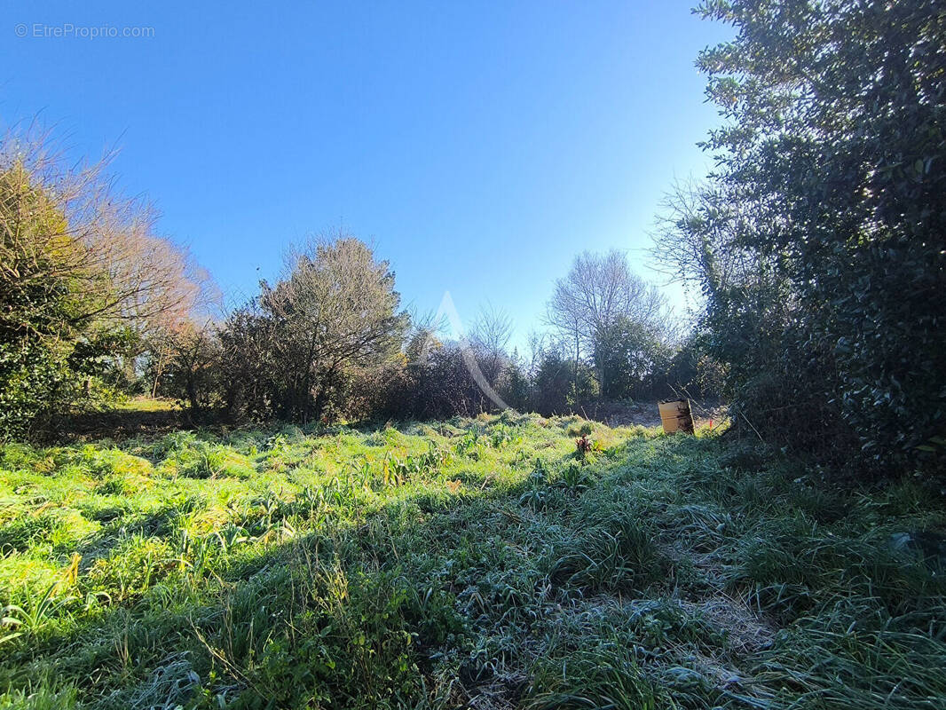 Terrain à AVRILLE
