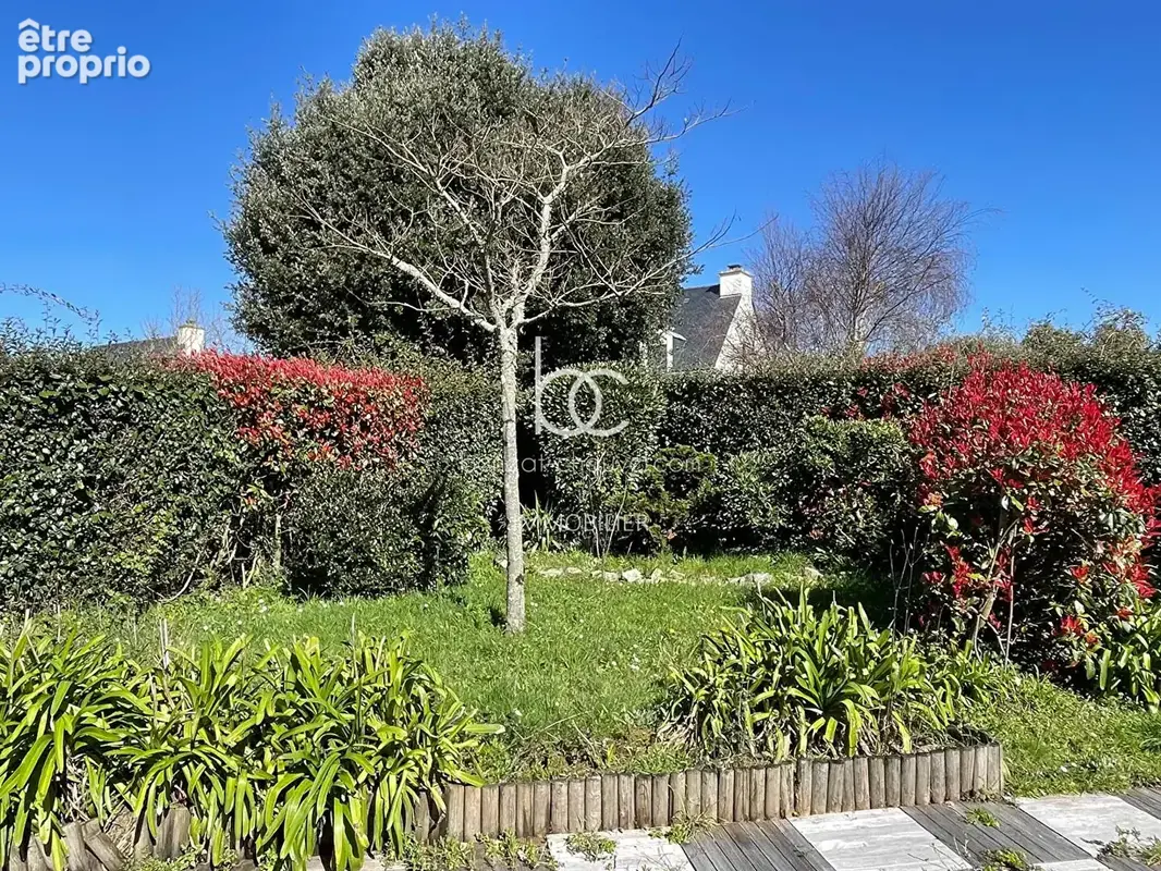 VENTE Maison de Qualité 3 Chambres  Suite RDC  730 m² Jardin Clos  Proche Plages SAINT-GILDAS-DE-RHUYS (56750) - photo 11