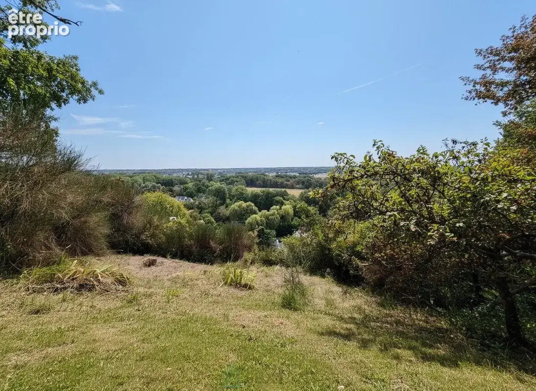 Maison 3 chambres, cave, garage - belle vue sur la vallée de la Loire - photo 2