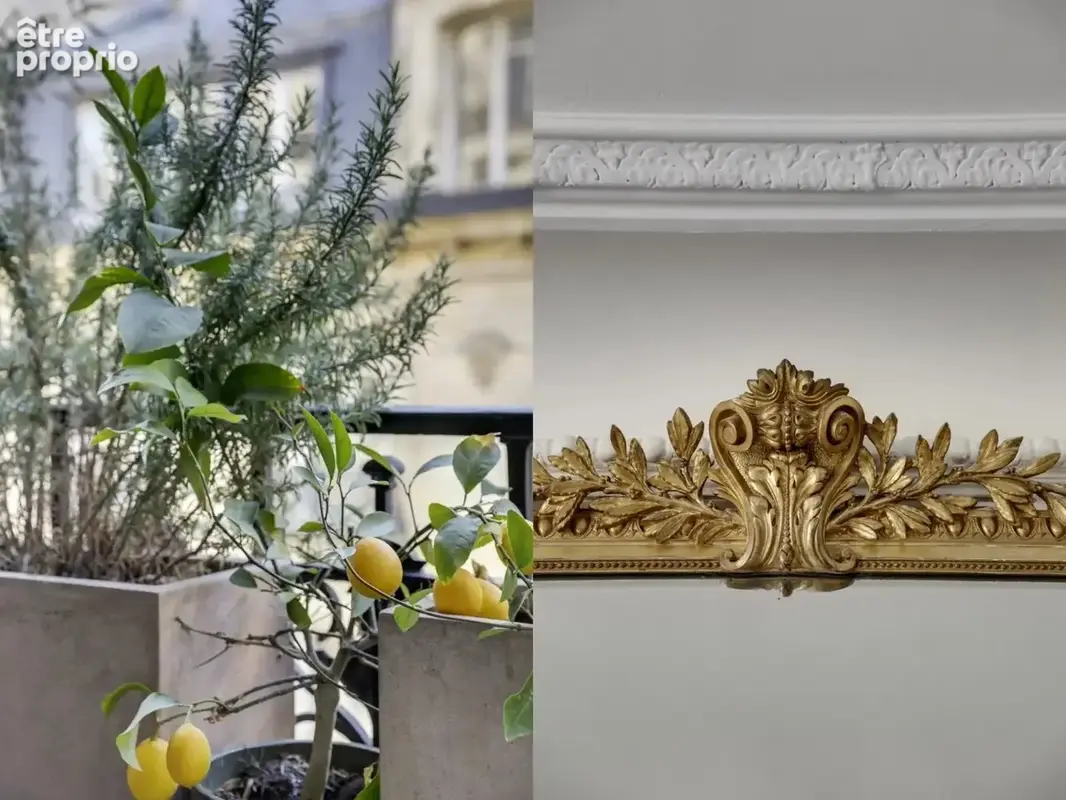Palais Galliera / Alma / Président Wilson - photo 3