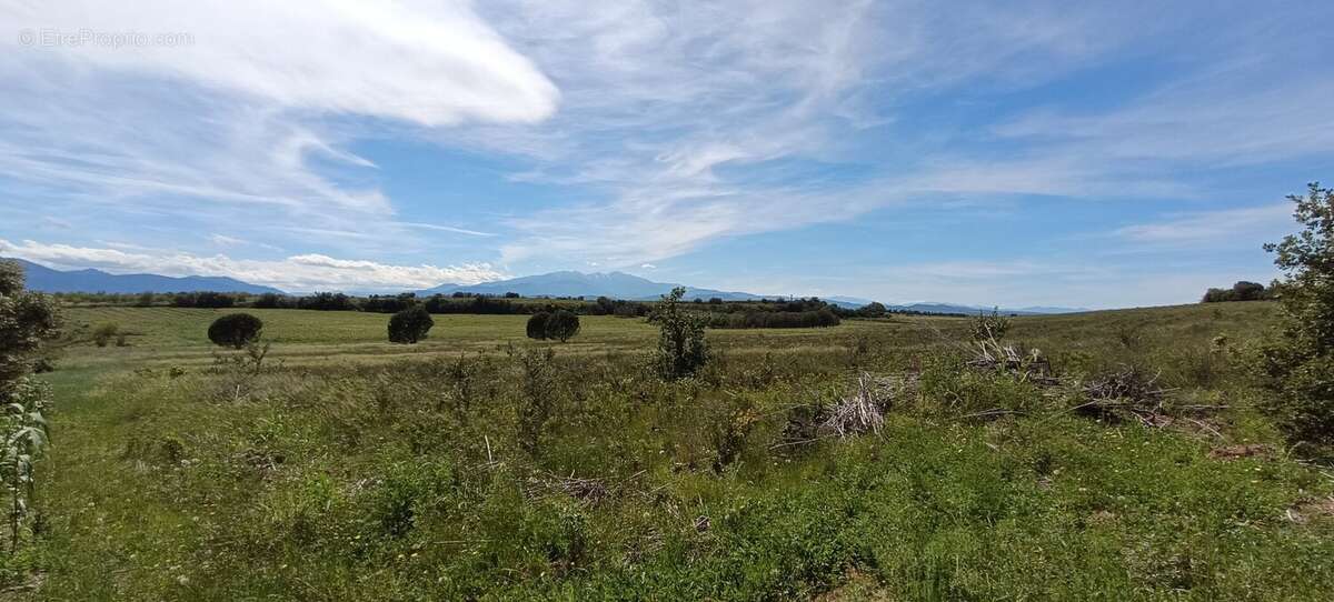 Terrain à POLLESTRES