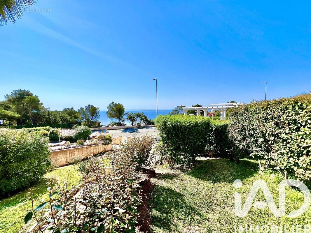 Photo 1 - Appartement à LA SEYNE-SUR-MER