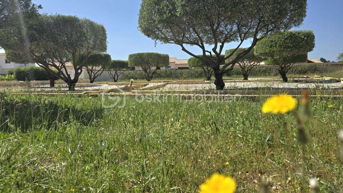 Terrain à CANET