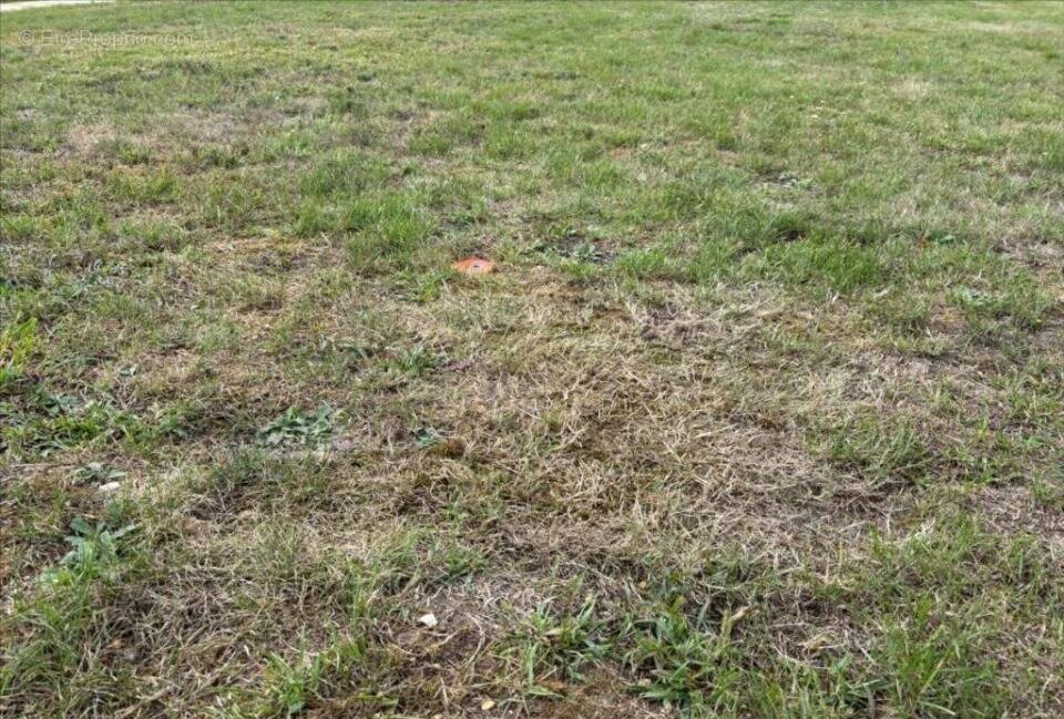 Terrain à LES DAMPS