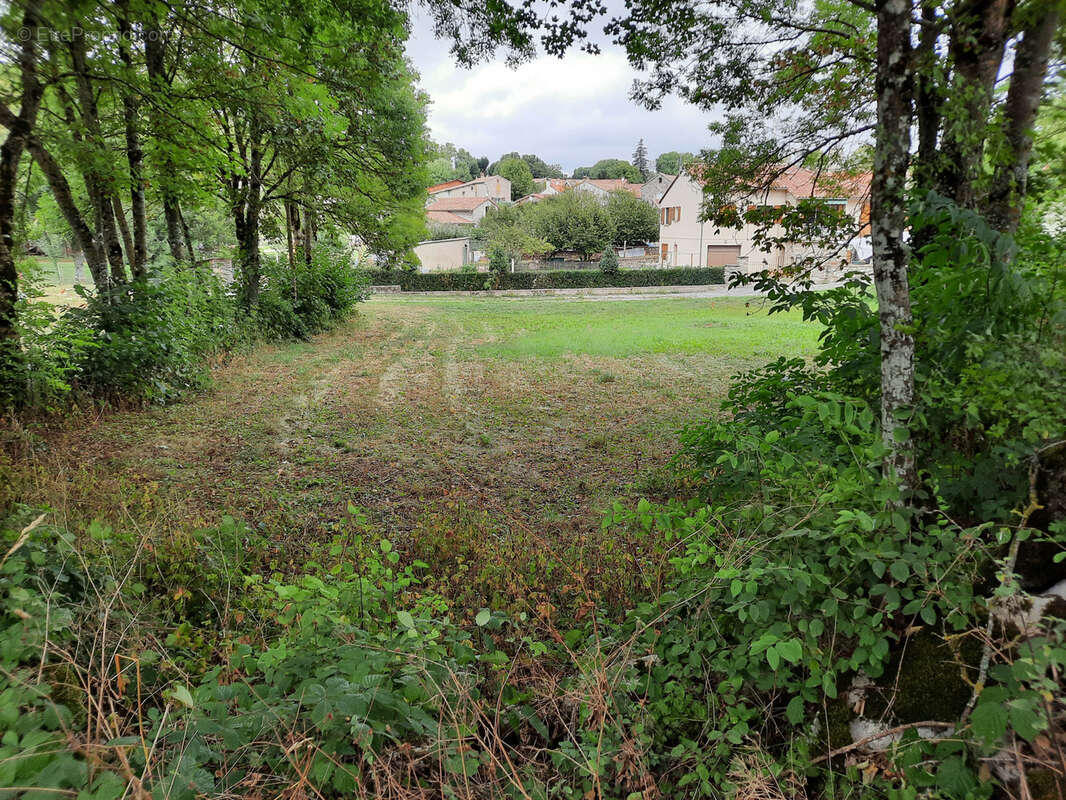 Terrain à VIALA-DU-PAS-DE-JAUX