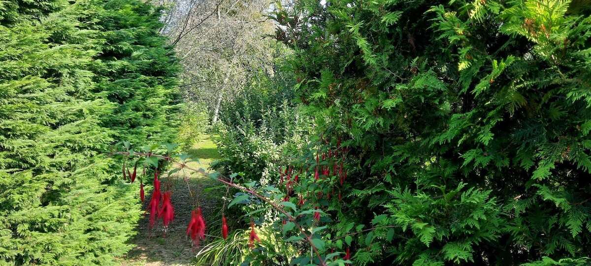 Photo 7 - Maison à SAINT-LEONARD