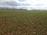 Terrain à CAUVICOURT