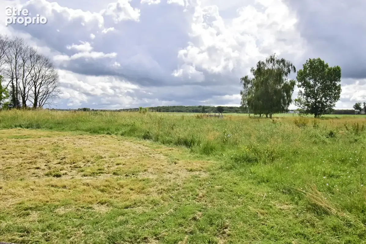 ST MARTIN EN BRESSE, Maison de maître avec 1ha37a de terrain - photo 18