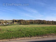 Photo 1 - Terrain à BETON-BAZOCHES