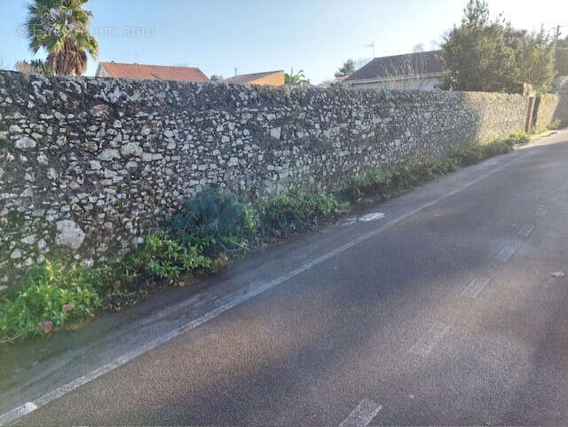 Terrain à PAIMBOEUF