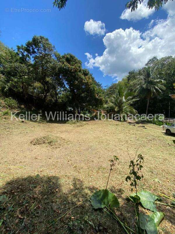Terrain à LES TROIS-ILETS
