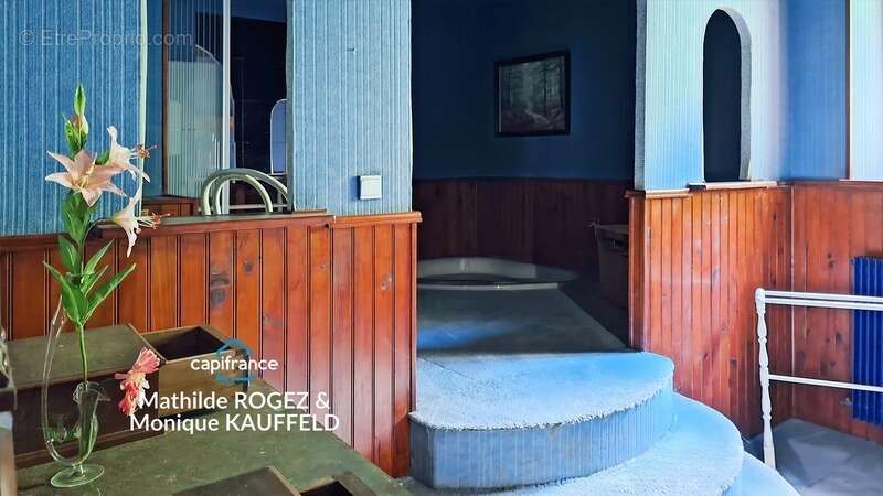 Grande demeure de charme + gîte + grand terrain - Tours-sur-Meymont - photo 22
