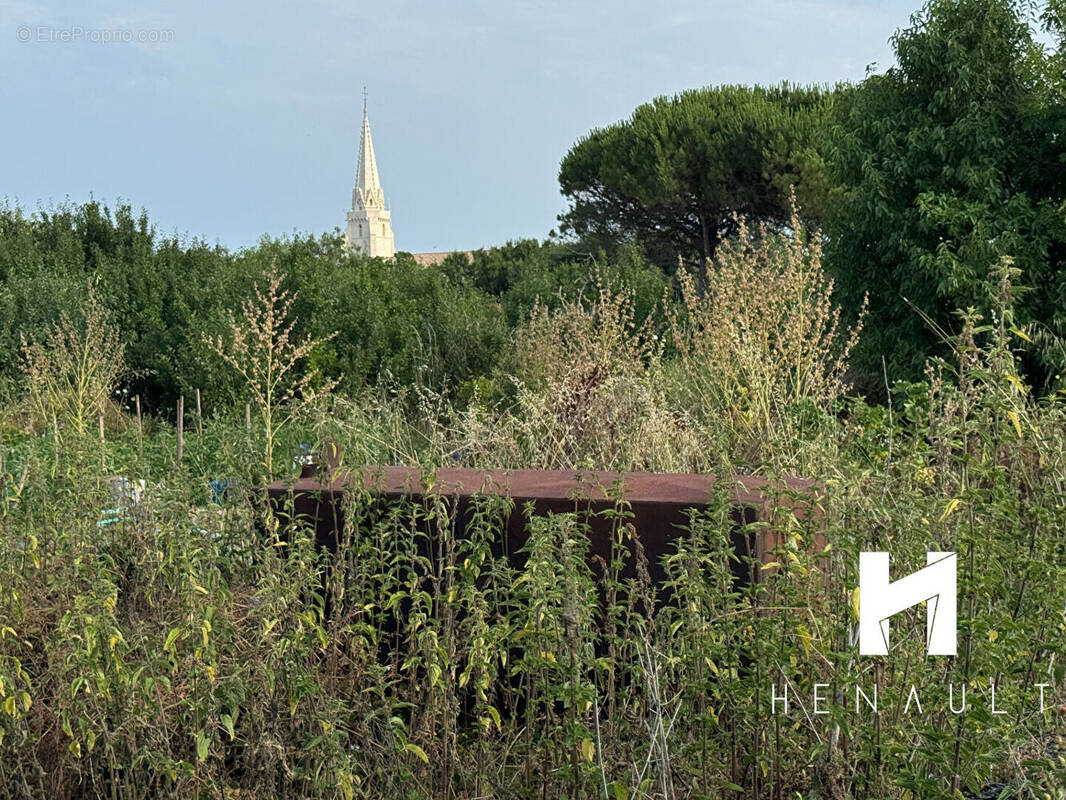 Terrain à SAINTE-MARIE-DE-RE