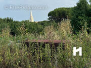 Terrain à SAINTE-MARIE-DE-RE