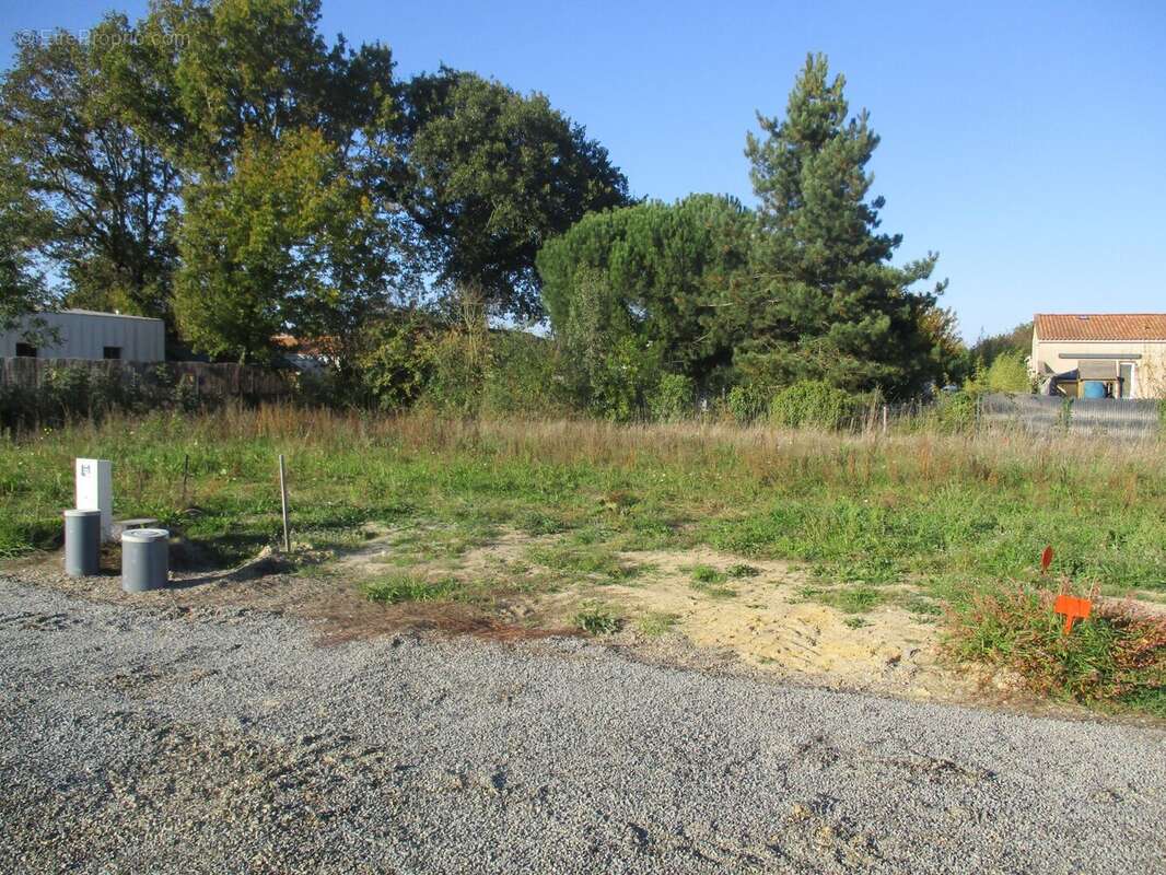 Terrain à SAINTE-FOY