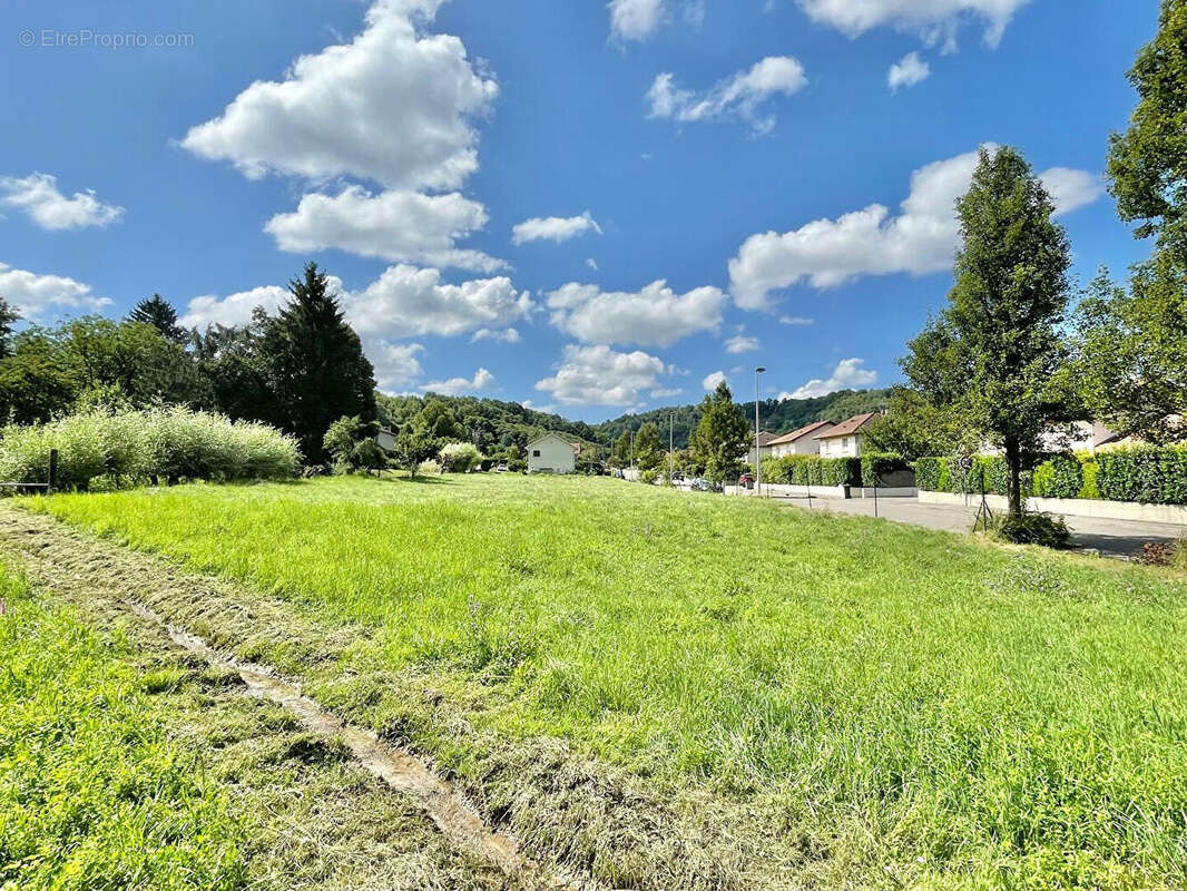 Terrain à NIVOLAS-VERMELLE