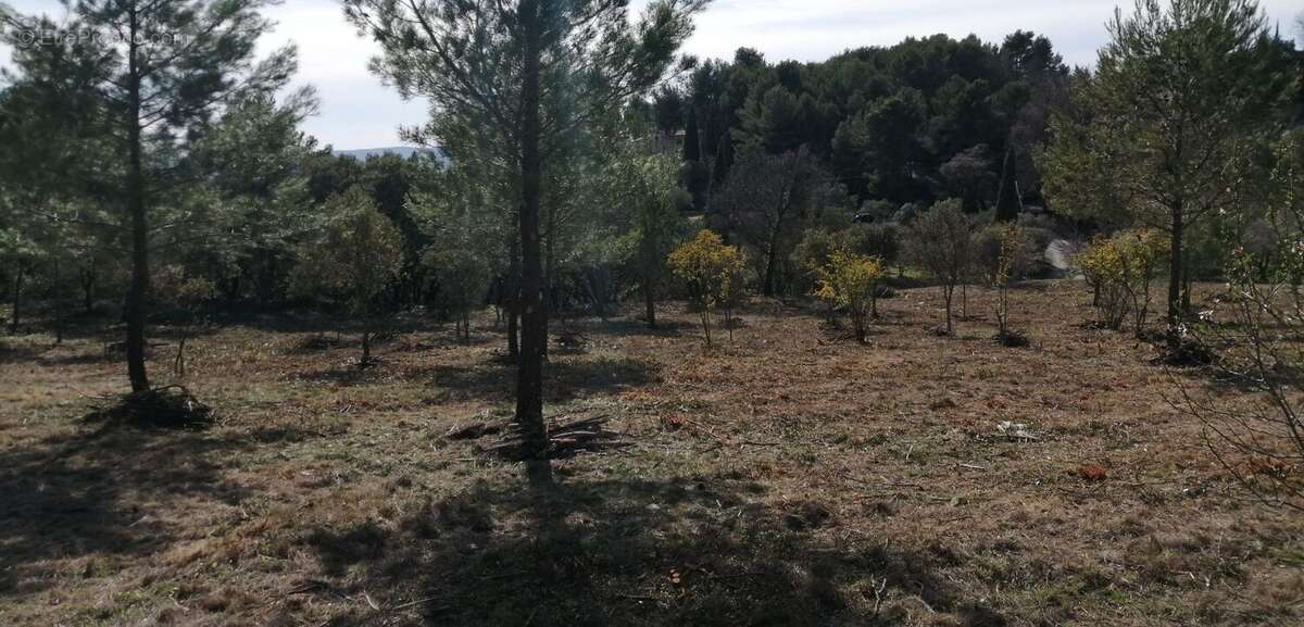 Terrain à LA BASTIDONNE