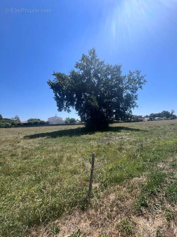 Terrain à SAUJON
