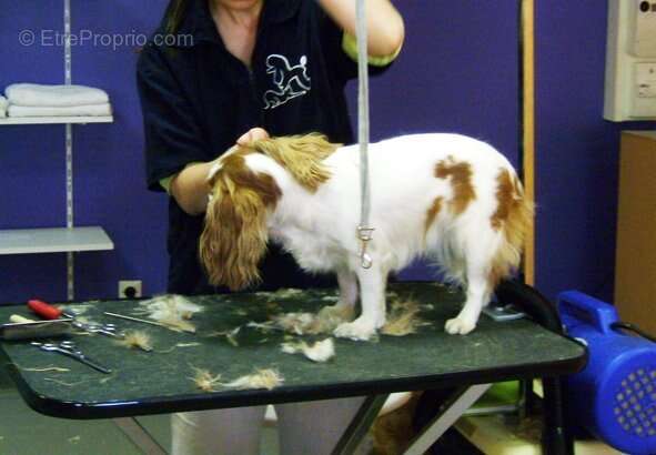 Commerce à AIX-LES-BAINS