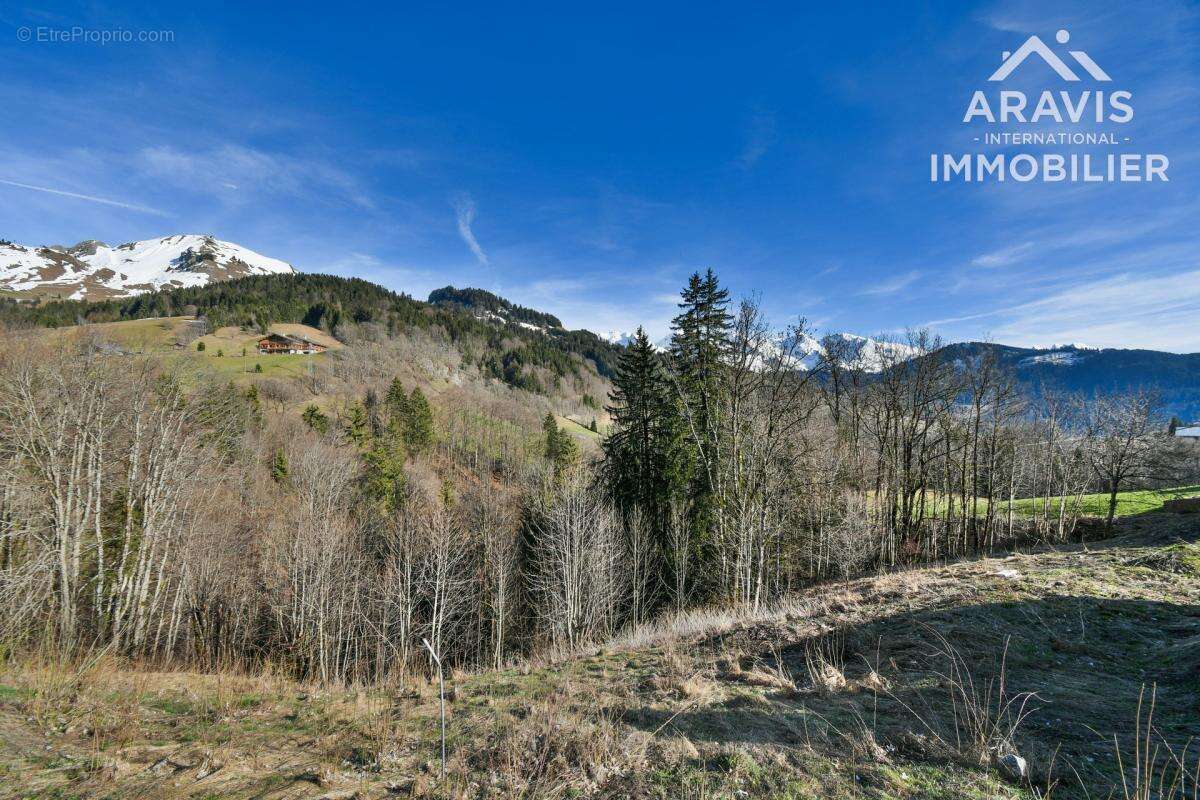Terrain à LE GRAND-BORNAND