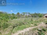 Terrain à FOUZILHON