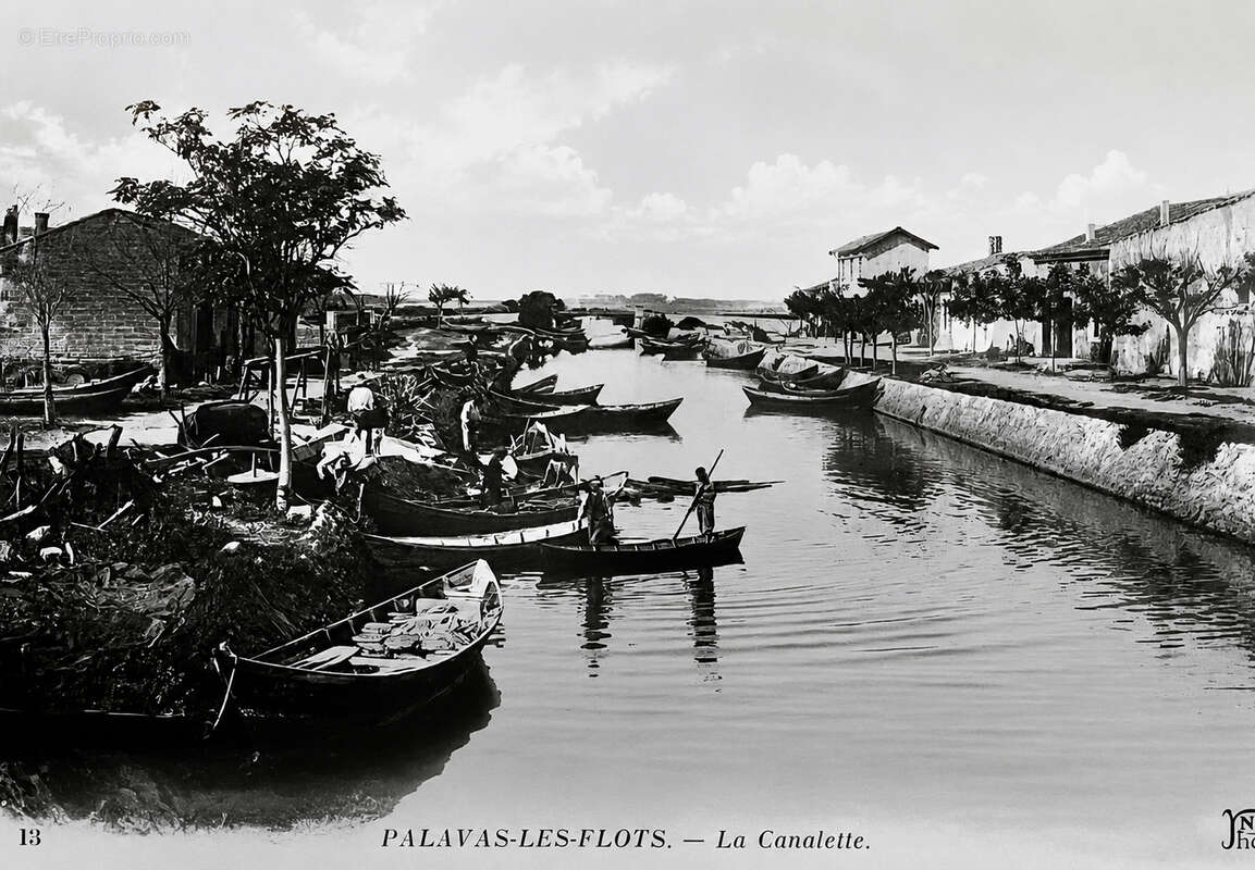 PALAVAS-LES-FLOTS, LA CANALETTE, Ancienne cabane de pêcheur sous le figuier à quelques minutes de la plage - photo 12