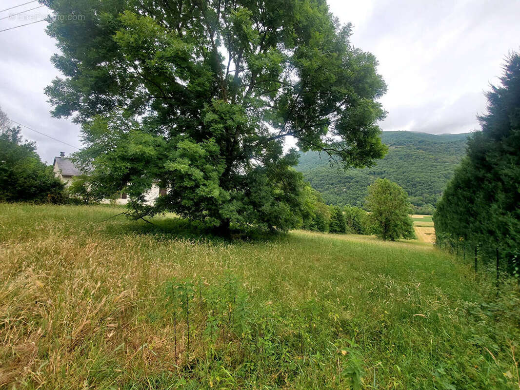 Terrain Castillon 3741 m2 - photo 3