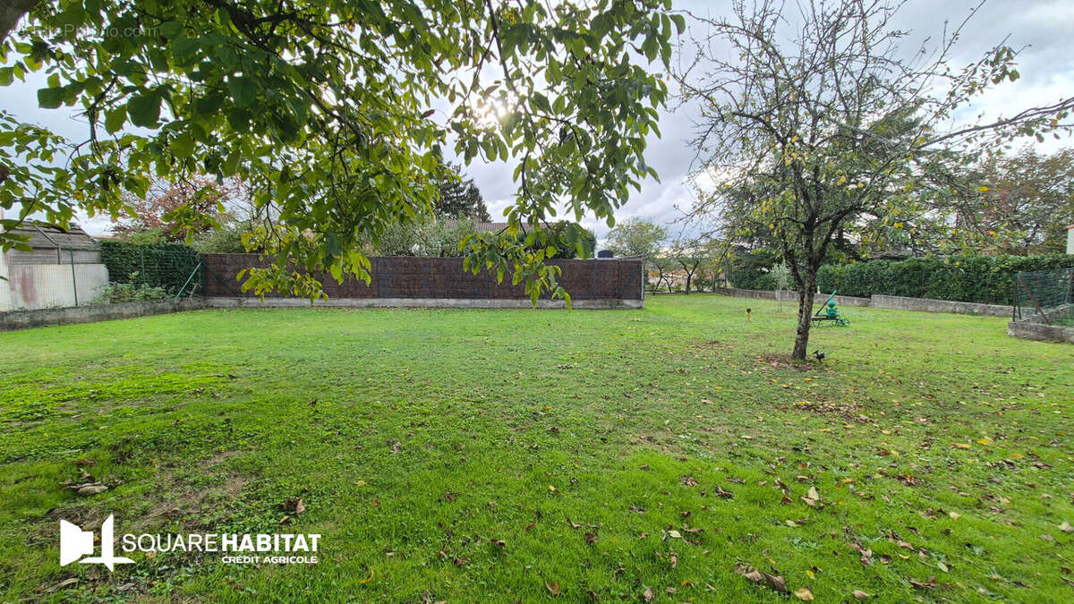 Maison à CHAMPTOCEAUX