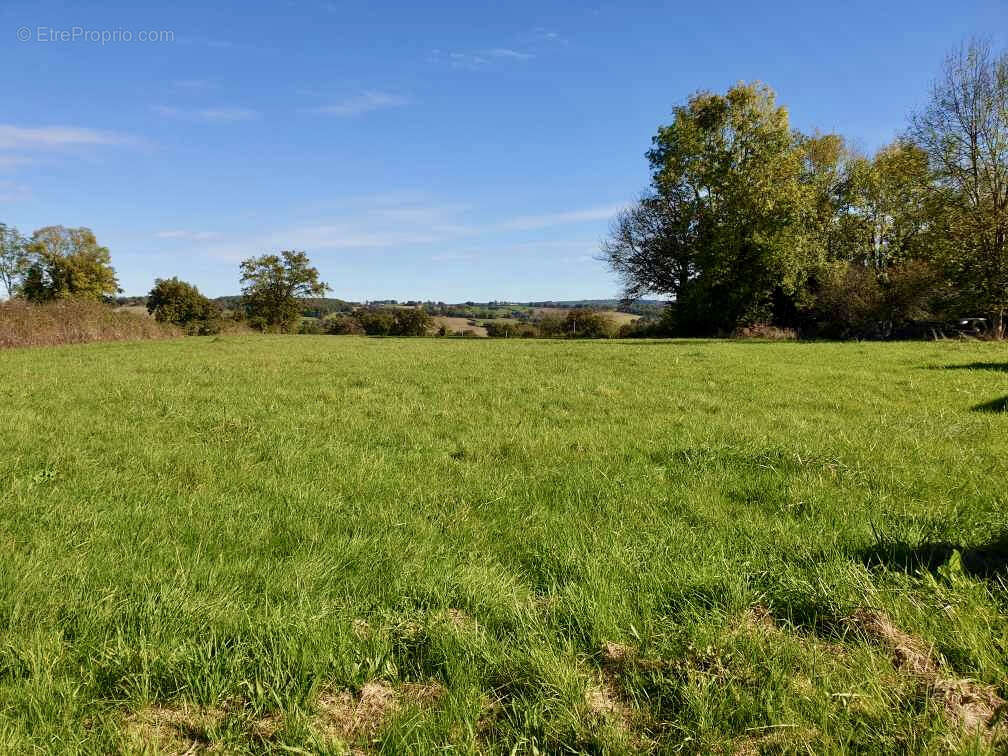 Terrain à TREZELLES