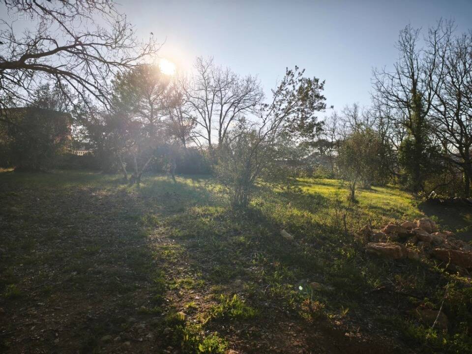 Terrain à BRIGNOLES
