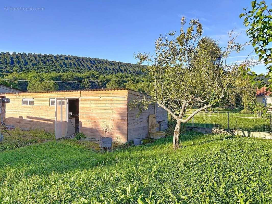 Photo 4 - Maison à LAROQUE-D&#039;OLMES