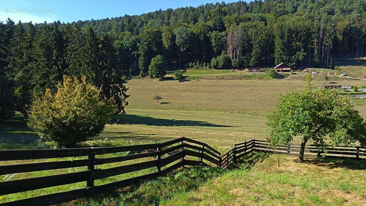 Maison à ZITTERSHEIM